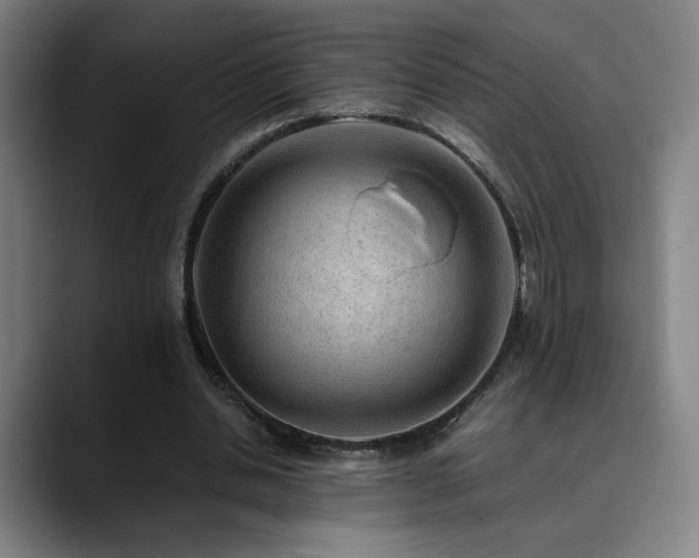 X0000090430438200707131204