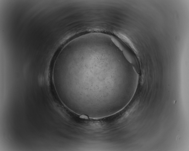 X0000090430439200707131204