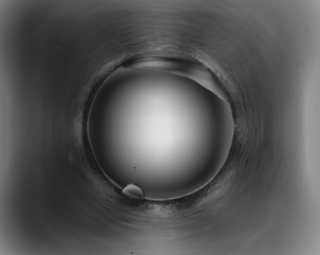 X0000090430442200707131204