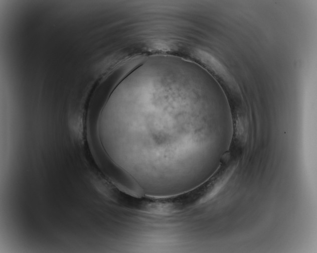 X0000090430444200707131204