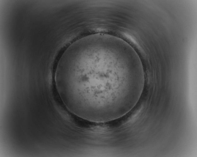 X0000090430447200707131204