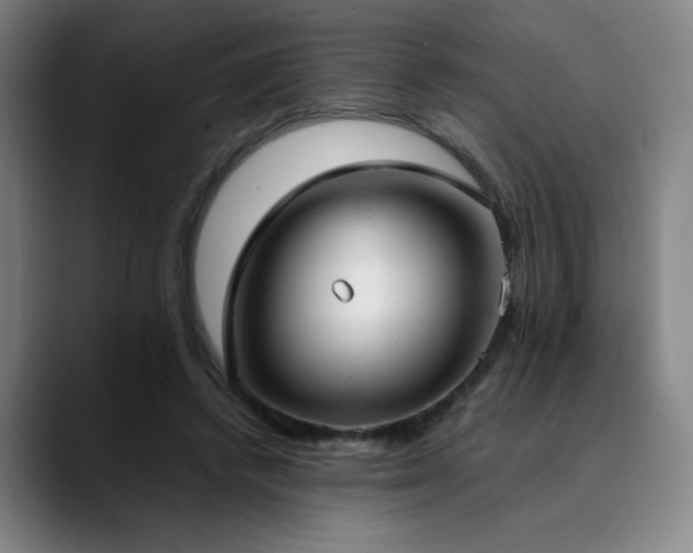 X0000090430448200707131204