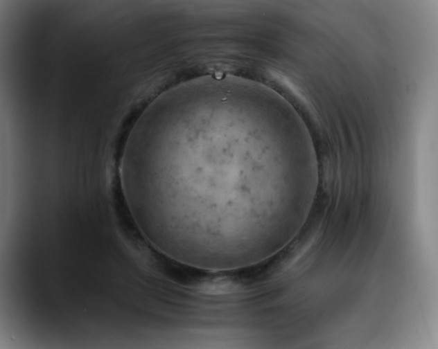 X0000090430451200707131204