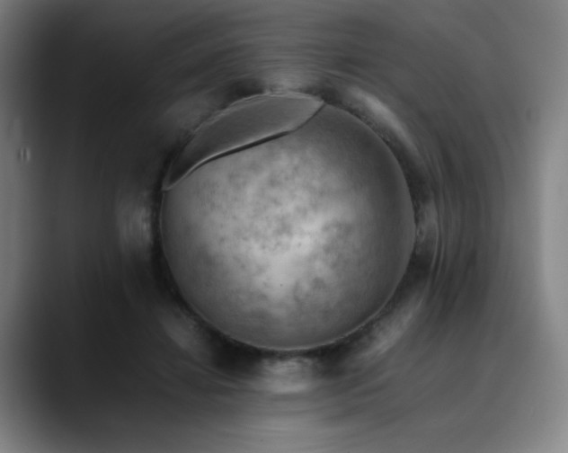 X0000090430452200707131204