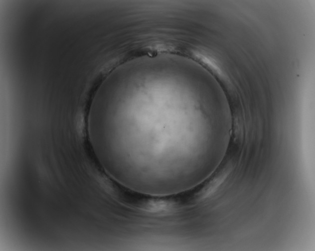 X0000090430453200707131204