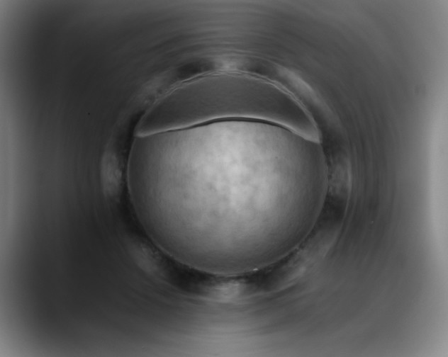X0000090430456200707131204