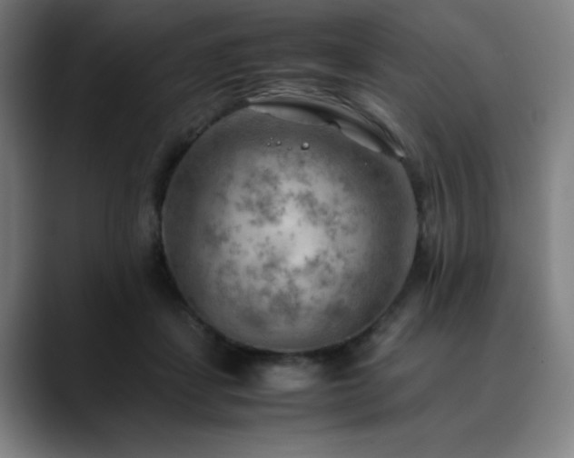 X0000090430459200707131204