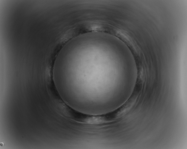 X0000090430461200707131204