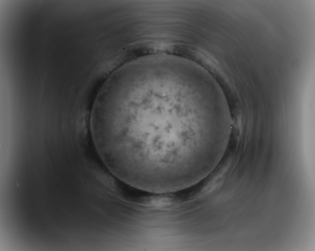 X0000090430462200707131204