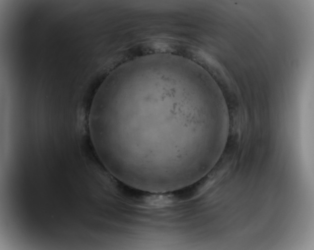 X0000090430465200707131204