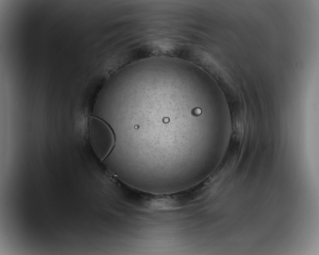 X0000090430468200707131204