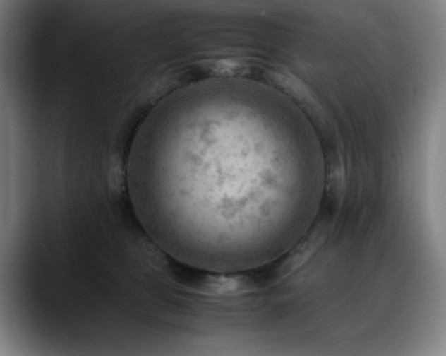 X0000090430469200707131204