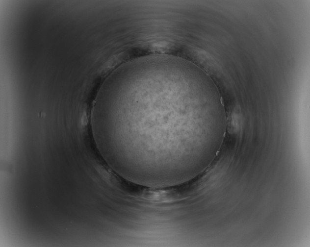 X0000090430472200707131204