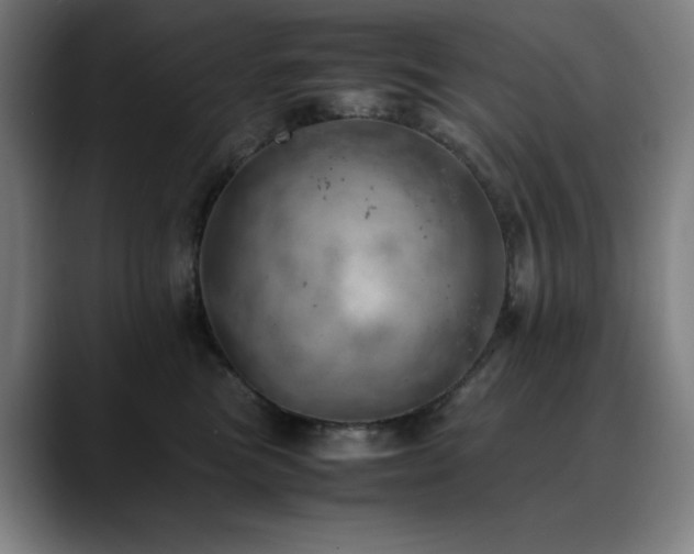 X0000090430473200707131204