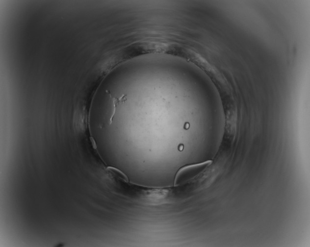 X0000090430474200707131204