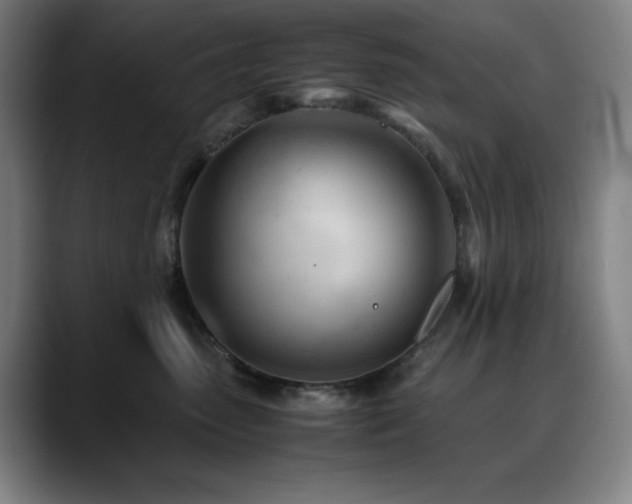 X0000090430475200707131204