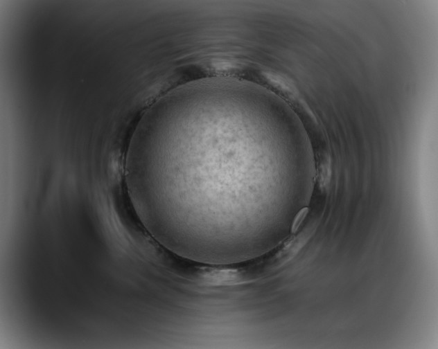 X0000090430476200707131204