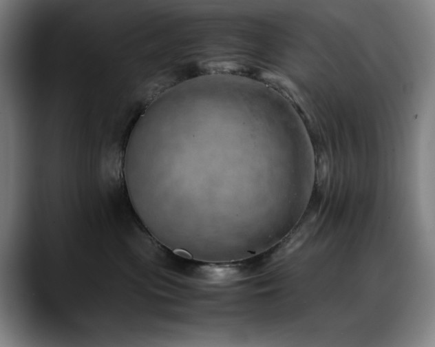 X0000090430477200707131204
