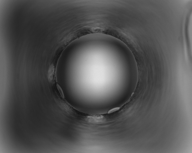 X0000090430480200707131204