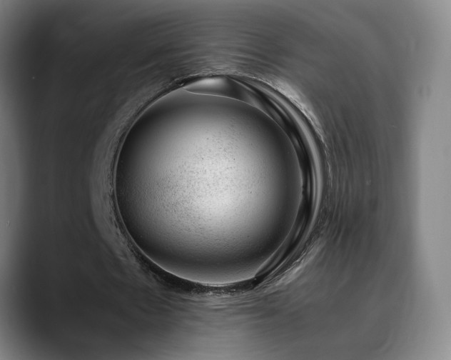 X0000090430481200707131204