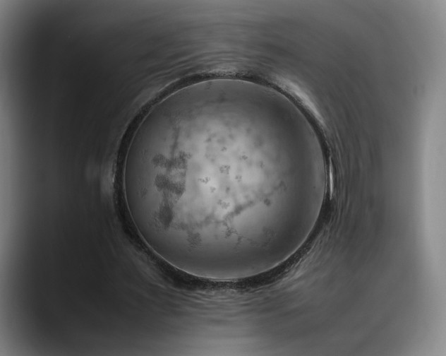 X0000090430483200707131204