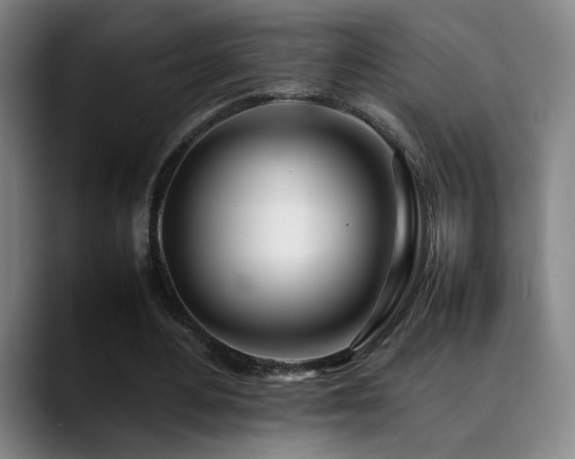 X0000090430484200707131204