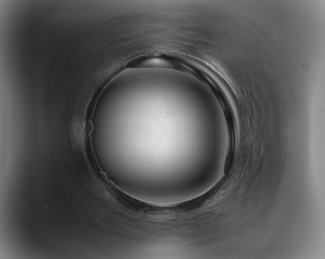 X0000090430485200707131204