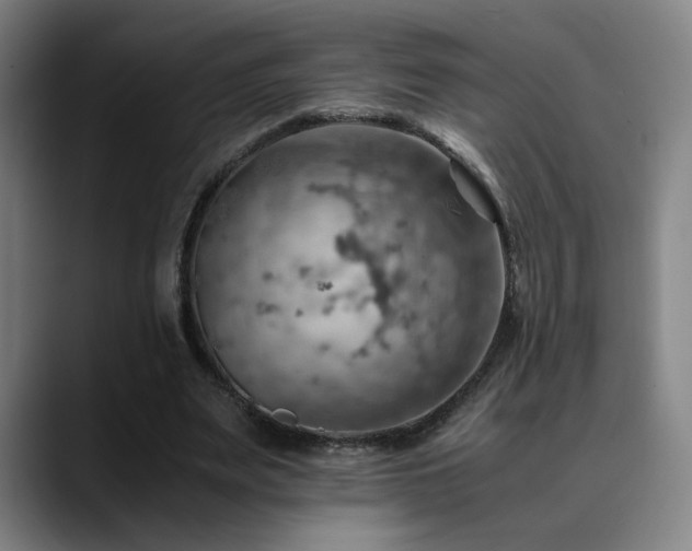 X0000090430487200707131204