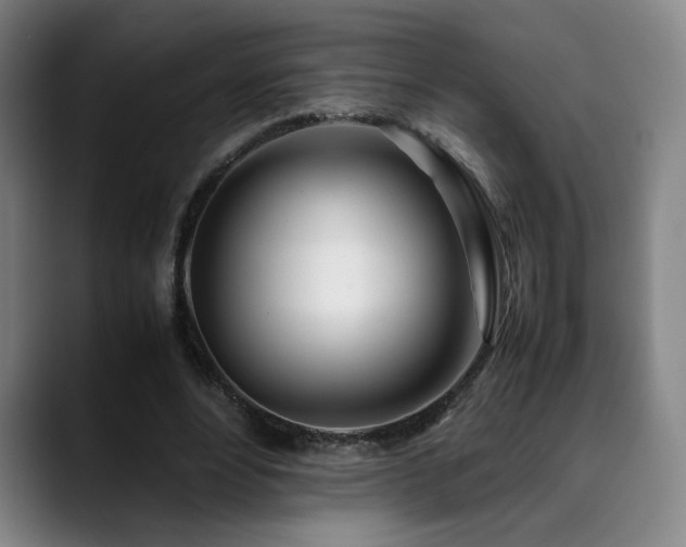 X0000090430488200707131204