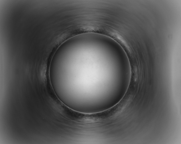 X0000090430490200707131204