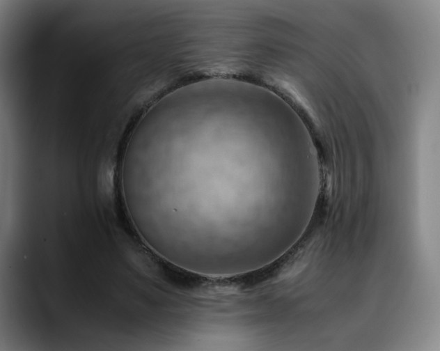 X0000090430491200707131204