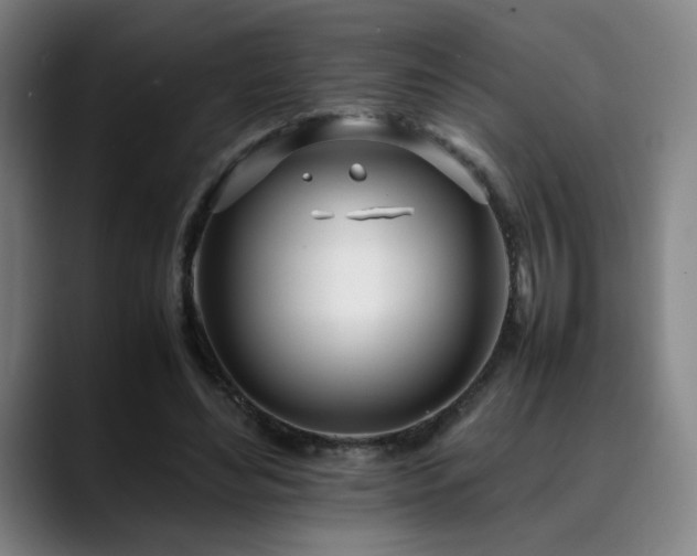 X0000090430492200707131204