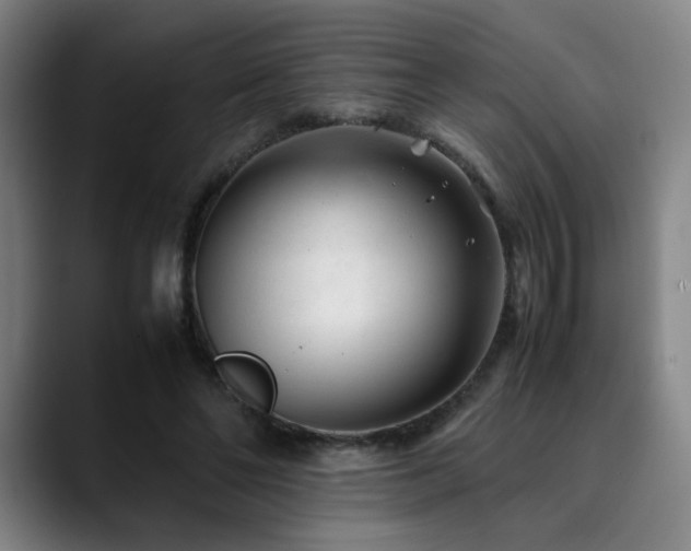 X0000090430494200707131204