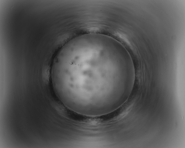 X0000090430495200707131204