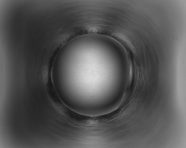 X0000090430496200707131204