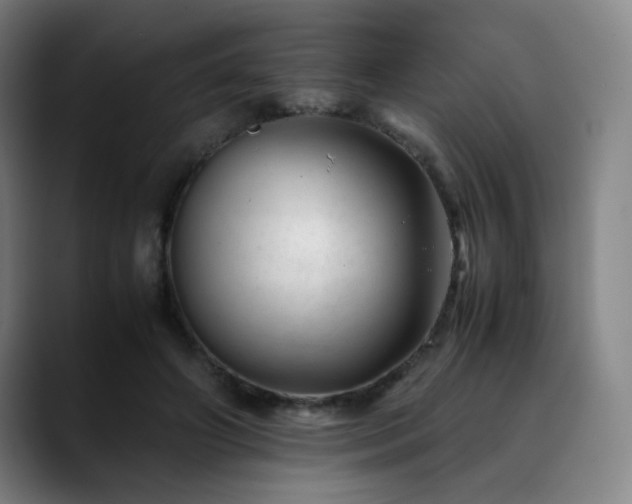 X0000090430498200707131204