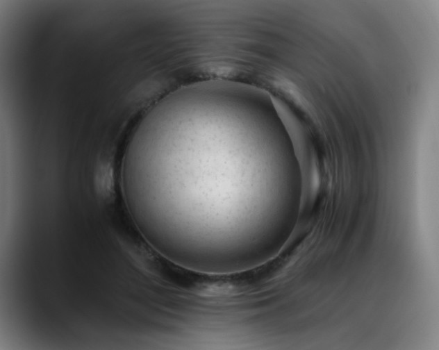 X0000090430500200707131204