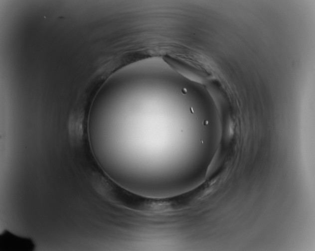 X0000090430501200707131204