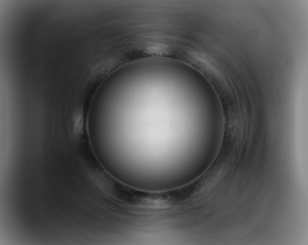 X0000090430502200707131204