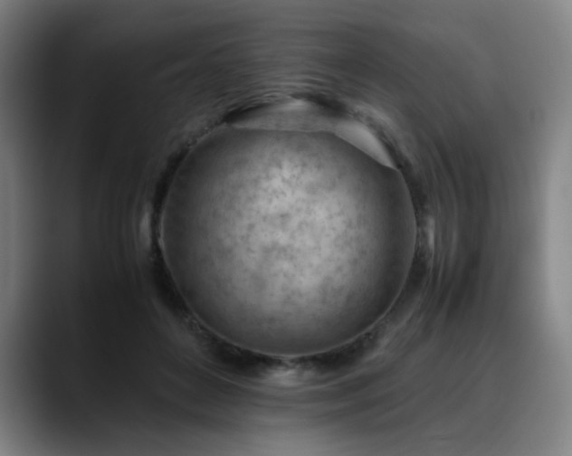 X0000090430504200707131204