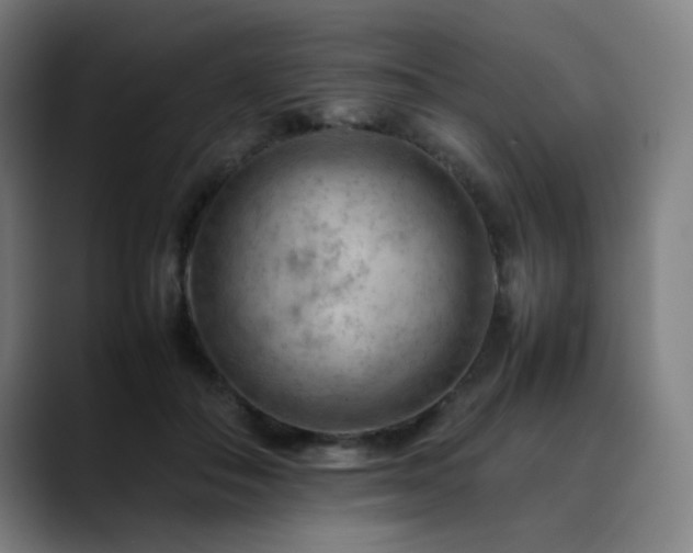 X0000090430506200707131204