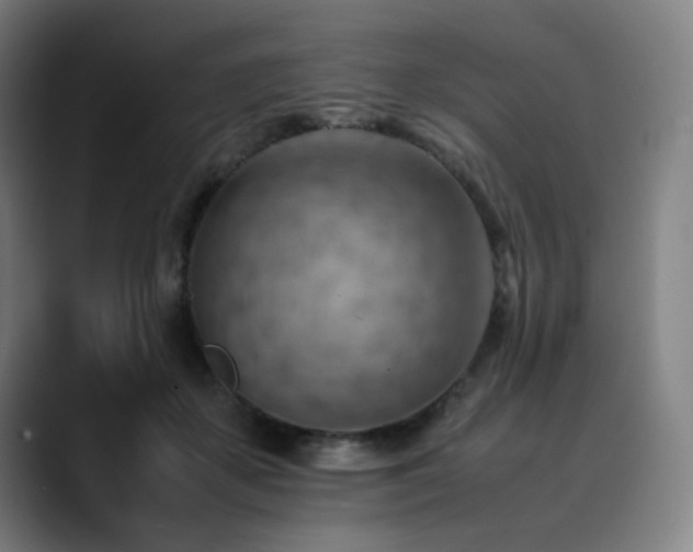 X0000090430507200707131204