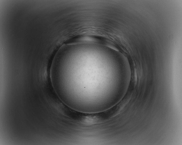 X0000090430508200707131203