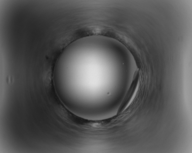 X0000090430509200707131203