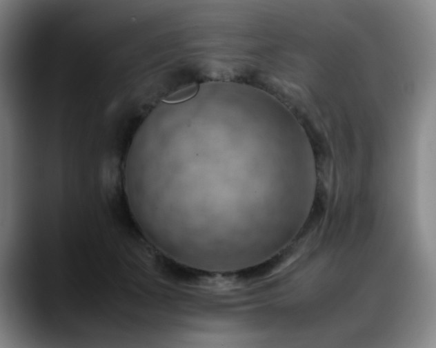 X0000090430511200707131203