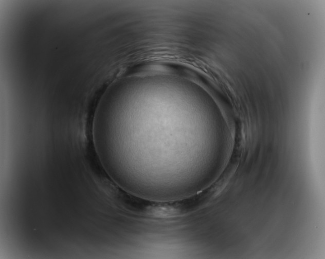X0000090430512200707131203