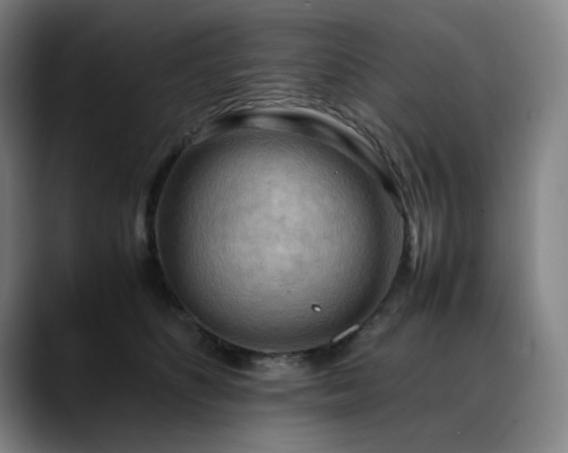 X0000090430516200707131203