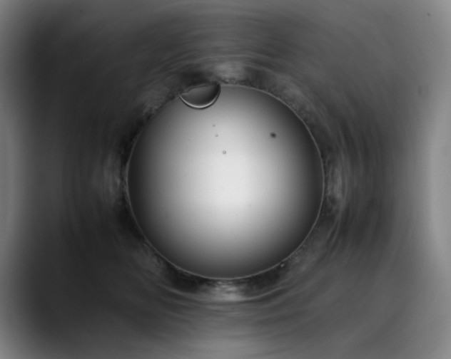X0000090430518200707131203