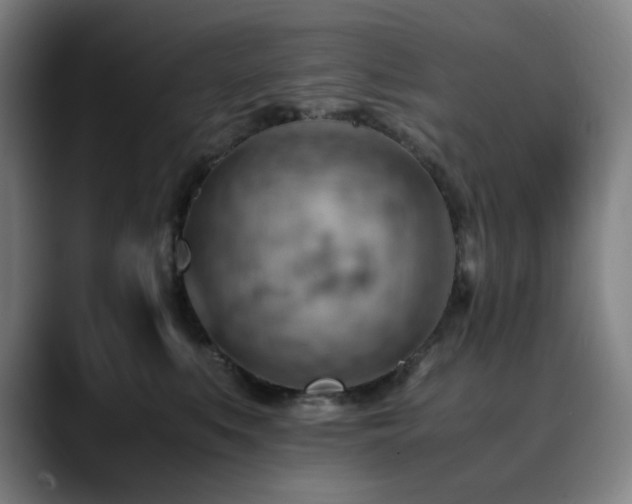 X0000090430519200707131203