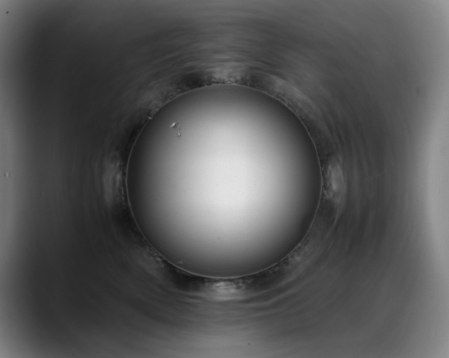 X0000090430522200707131203